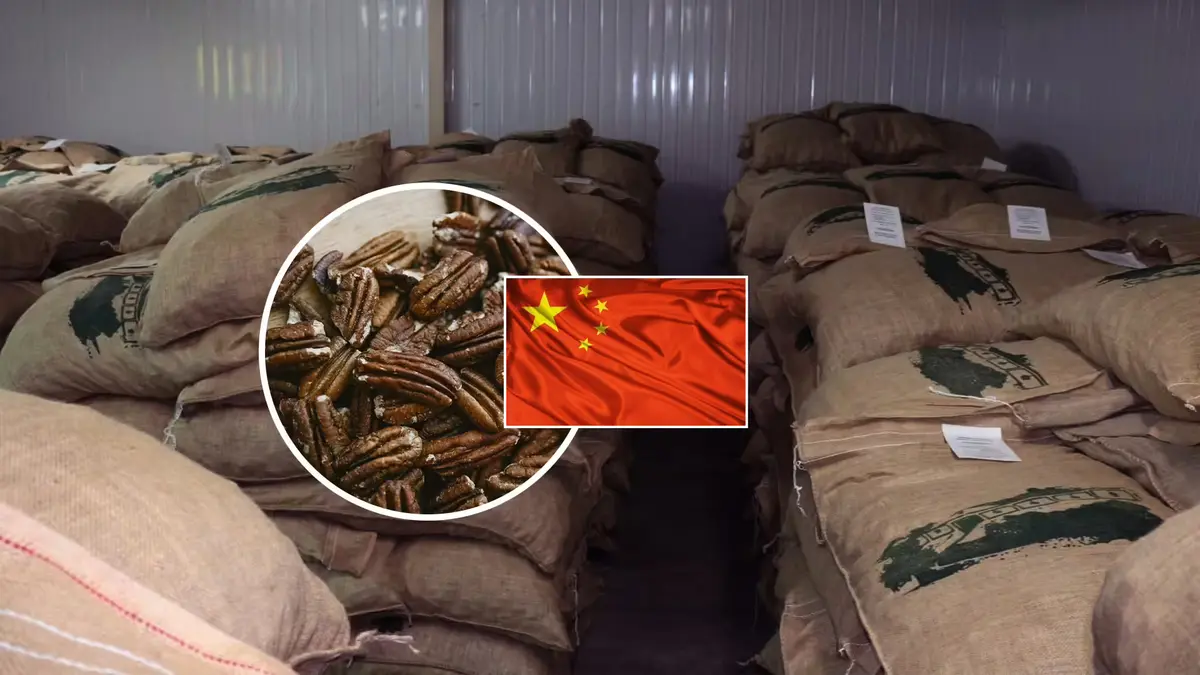 La región Ica envía su primer cargamento de exportación de pecanas a China