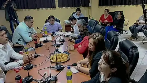 Ica: elegirán al nuevo vicegobernador tras la renuncia de Luz Canales