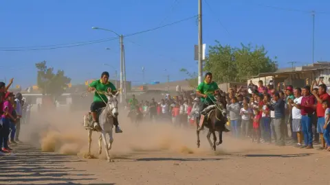 Ica: Así será la gran carrera de burros en Ocucaje con el máximo premio de mil soles al ganador
