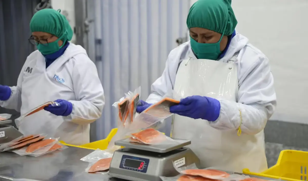 Lima, La Libertad, Ica y Piura son las regiones que más trabajadores han ingresado a planilla