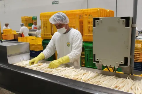 De cada 100 dólares que Perú exporta, 96 se los llevan los gigantes y solo 3 las MYPES