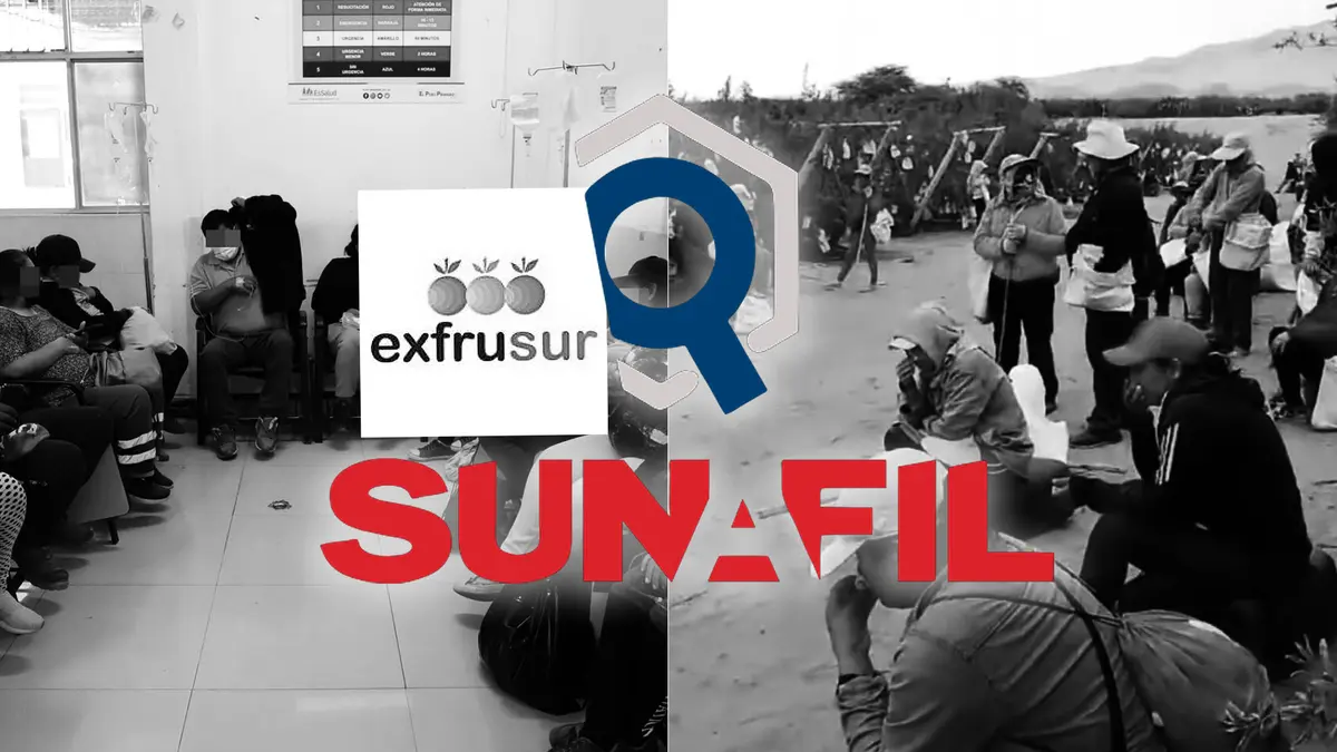 Ica: Sunafil multa con S/127 mil a Frutícola del Sur por intoxicación de trabajadores en fundo