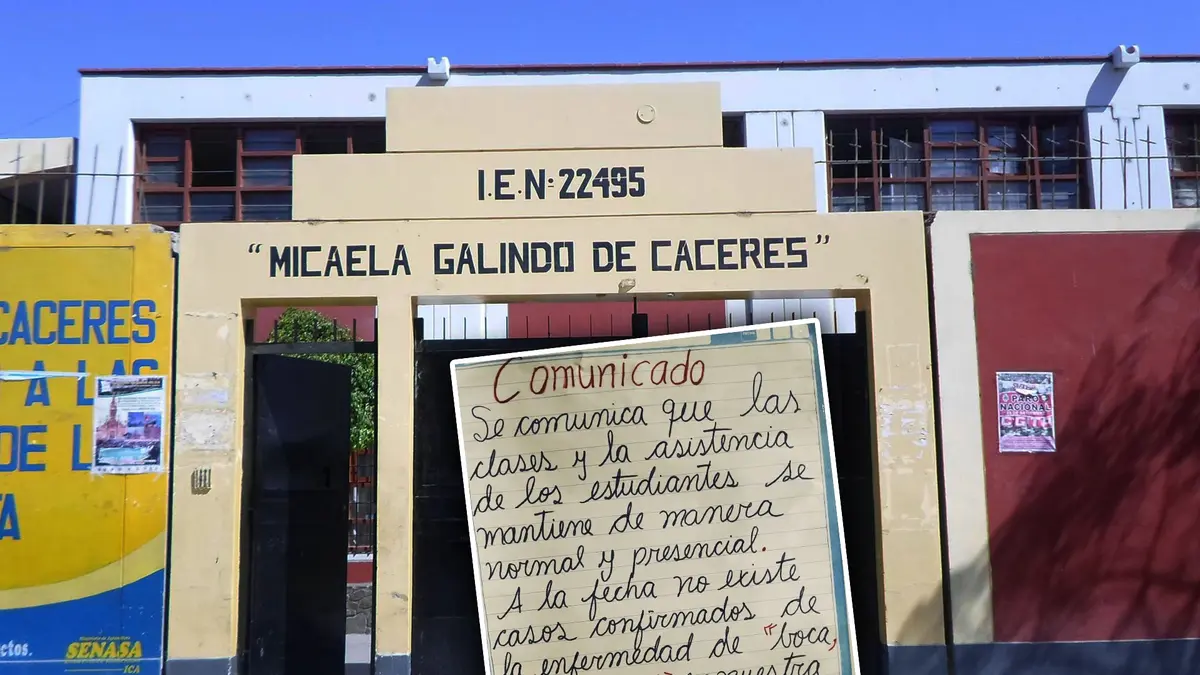 Alerta sanitaria en colegio de Ica por presuntos casos de coxsackie y pedido urgente de clases virtuales