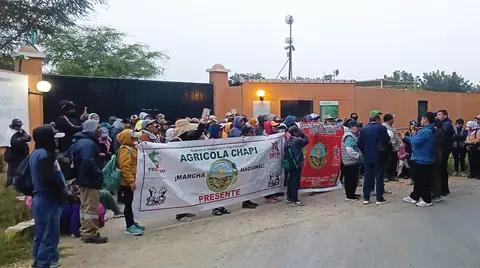 Trabajadores de Agrícola Chapí protestan en Ica por utilidades impagas y rechazo a aumento salarial