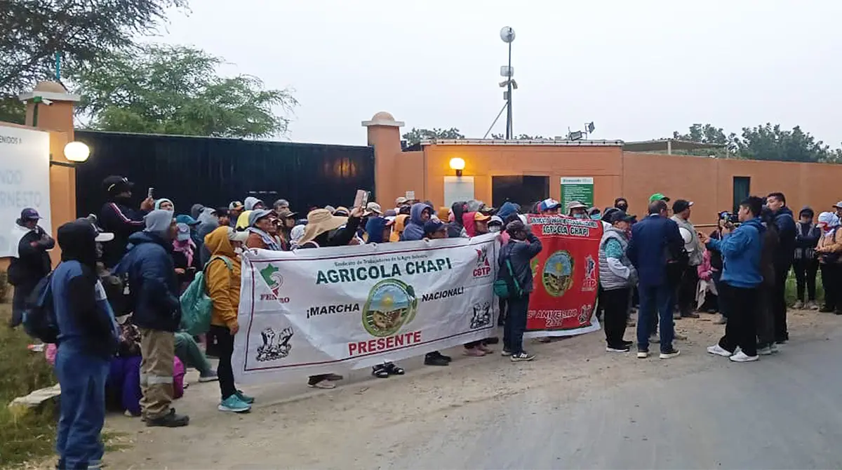 Trabajadores de Agrícola Chapí protestan en Ica por utilidades impagas y rechazo a aumento salarial