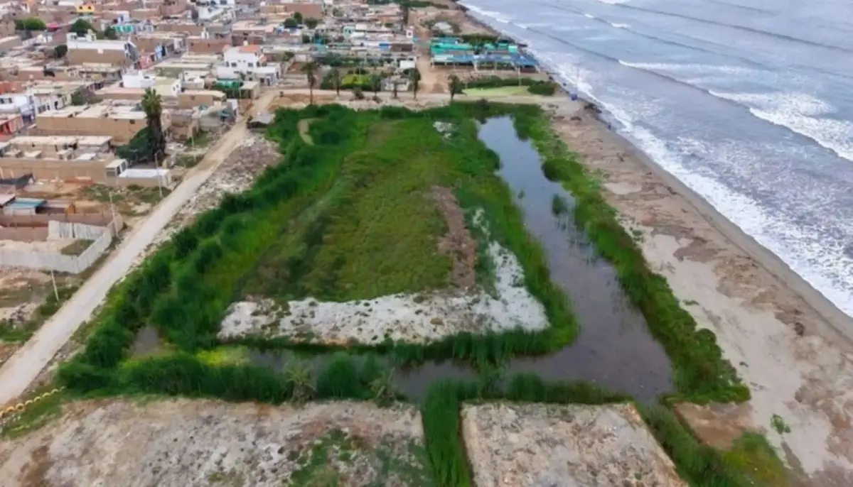 Ica: Recuperan humedales de Pisco y San Andrés tras retirar 6 mil toneladas de residuos