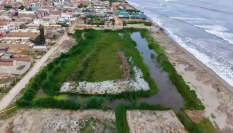 Ica: Recuperan humedales de Pisco y San Andrés tras retirar 6 mil toneladas de residuos