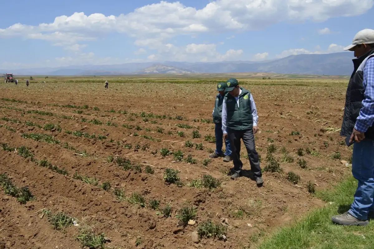 Senamhi advierte sequías en el sur y lluvias intensas en el norte por El Niño