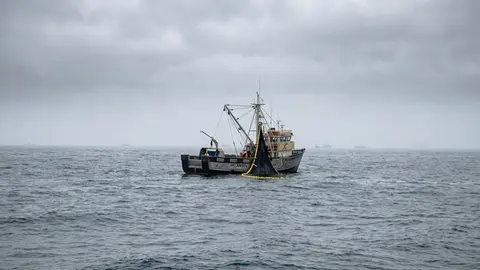 Tres sobrevivientes y cuatro desparecidos: Embarcación pesquera se hundió en el mar de Ocucaje en Ica