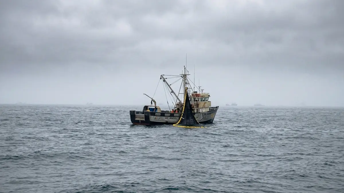 Tres sobrevivientes y cuatro desparecidos: Embarcación pesquera se hundió en el mar de Ocucaje en Ica