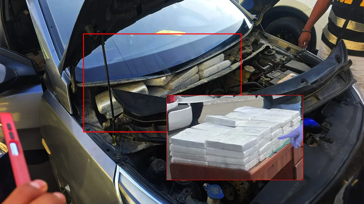 Borrador automático