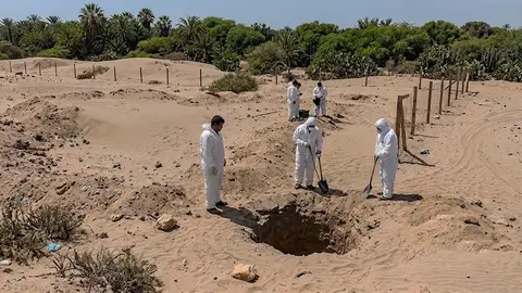 Sacrifican y entierran 54 aves entre gallinas y patos por brote de influenza aviar altamente patógena en Lambayeque
