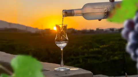 Sector pisco cuenta con 500 empresas formales que generan 16,000 empleos