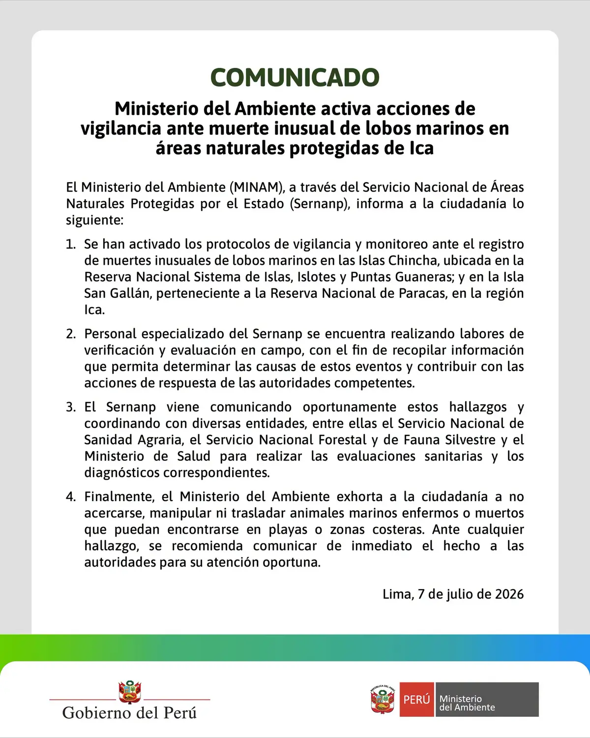 Sernanp investiga muerte inusual de lobos marinos en islas protegidas de la región Ica