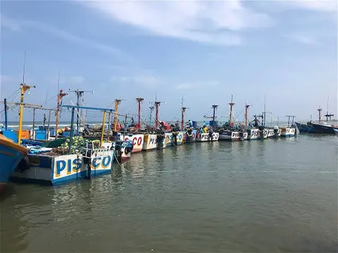 Ica: Produce evaluará declaratoria de emergencia para el sector pesquero artesanal